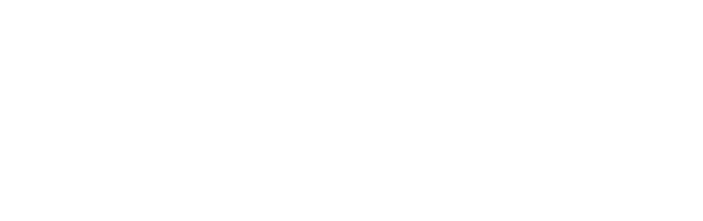 Silverpoint Construction